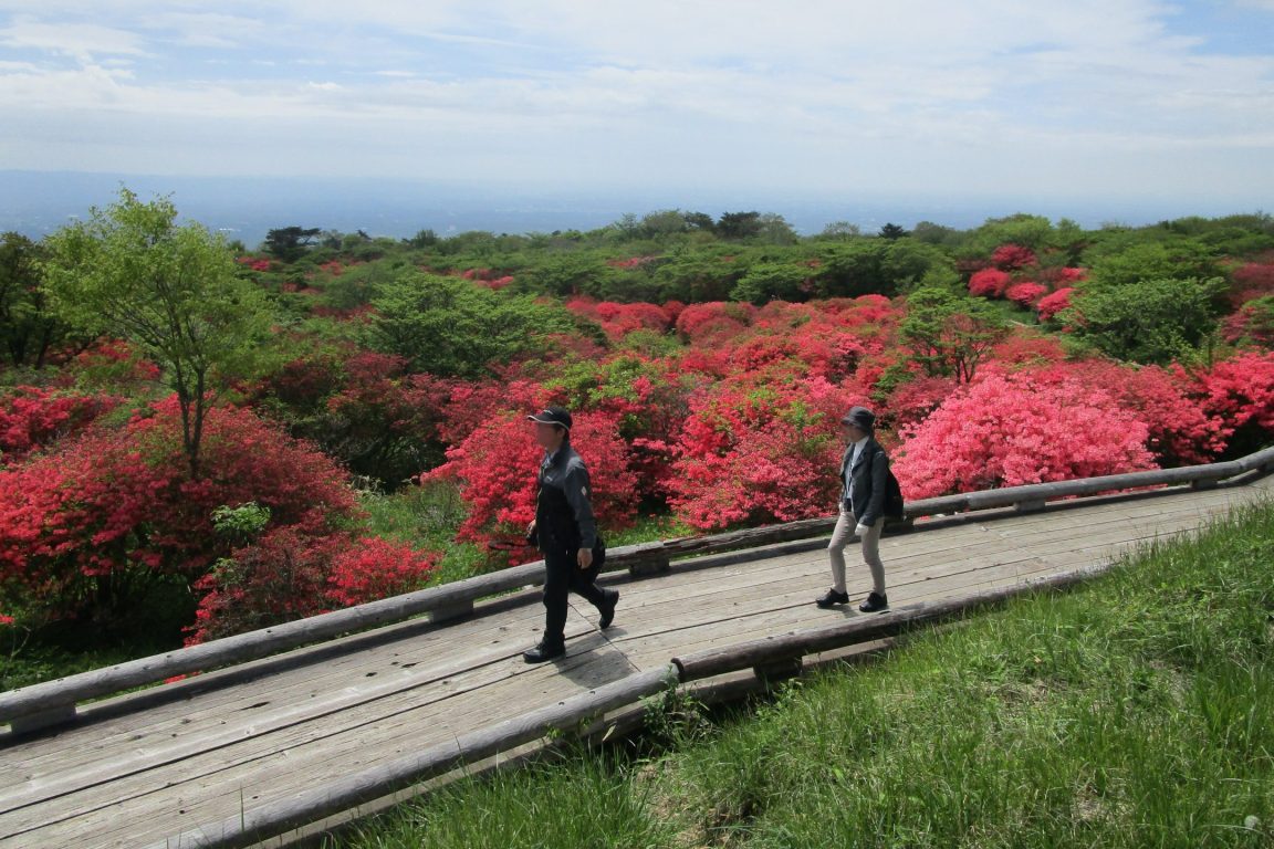 自然 Visit Tochigi